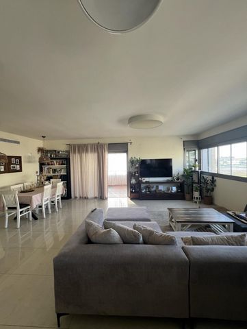 הדקלים 16