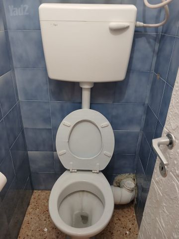 זבולון 11
