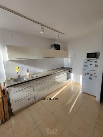 התלמוד 113