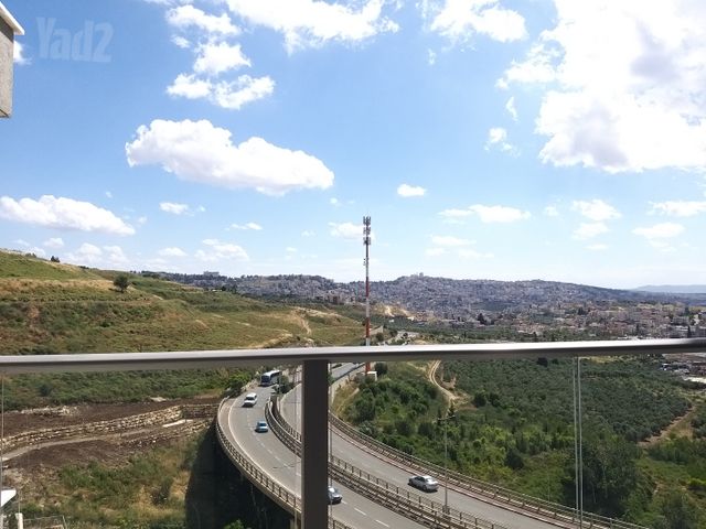 דליה 19
