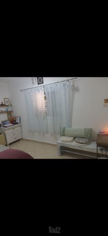 המלך דוד 28