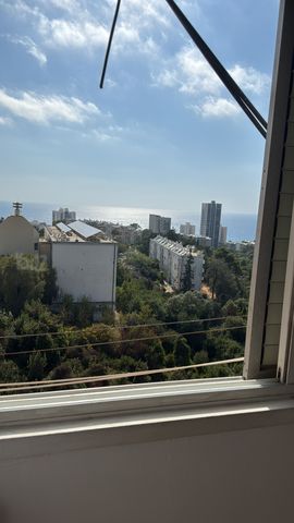בודנהיימר 11
