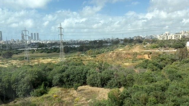 נח מוזס 4