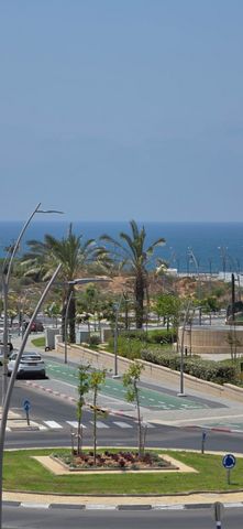 הקונכייה 