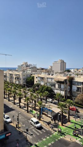בן יהודה 