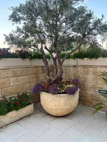 Jerusalem, Israel 6