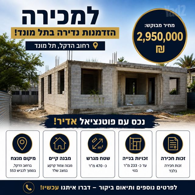 הדקל 