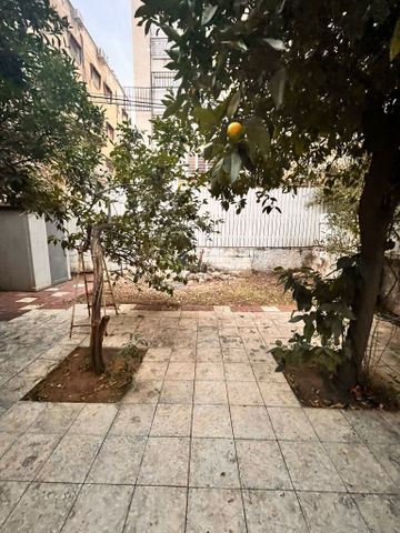 חיים הררי 