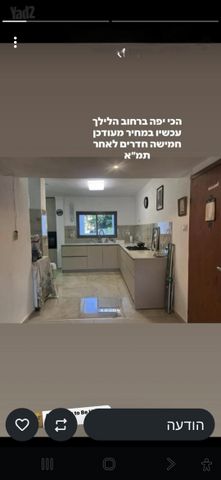 הלילך 3