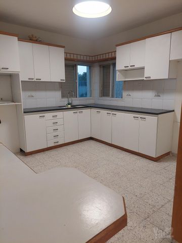 משה שרת 50