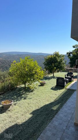 זמיר 51