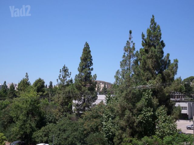 הגליל 65