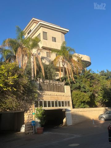 הסחלב 11
