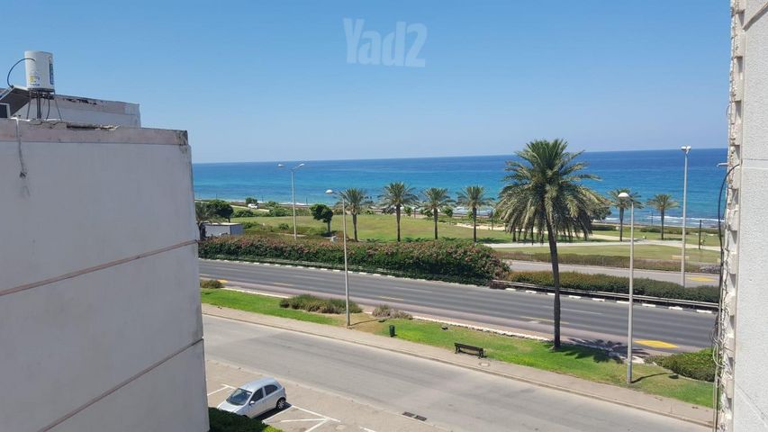 הרותם 23