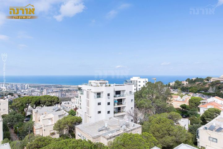 גג/ פנטהאוז, אחוזה, חיפה