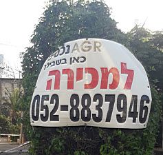 לסטר/רבוצקי