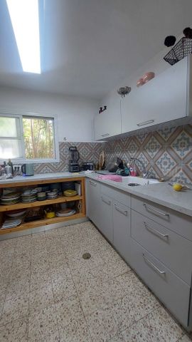 הצבעונים 15