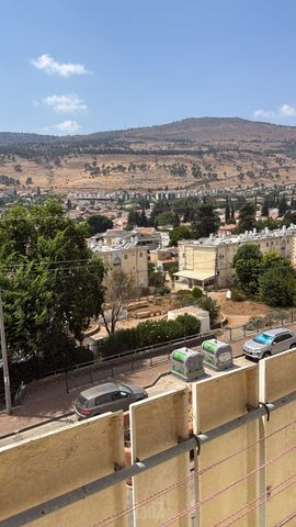 יוסף שפרינצק 27