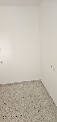 עין גדי 17