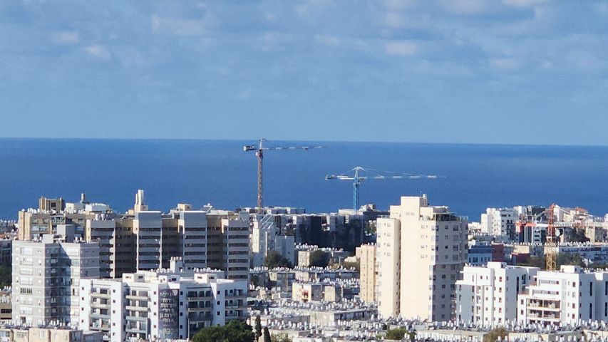כצנלסון 41
