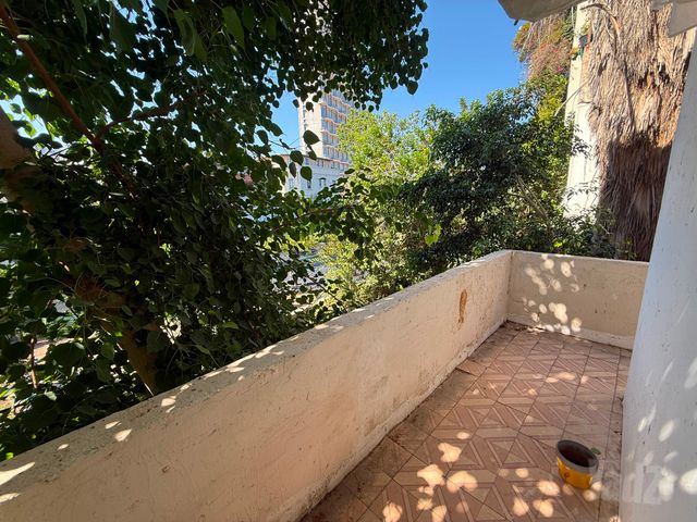 יהודה הלוי 18