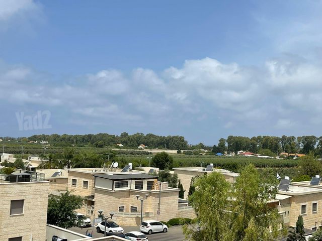 דותן 4