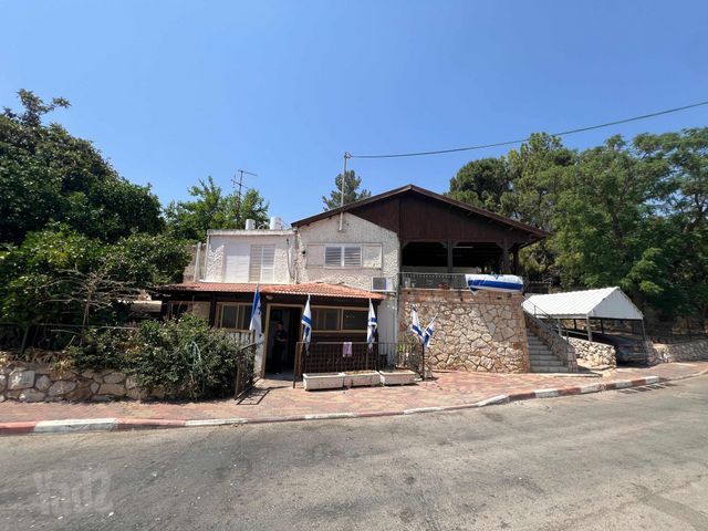 הדקלים 1