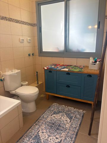 משמר הגבול 29