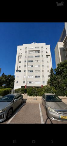 דוד המלך 17