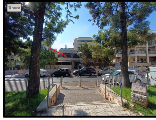 התומר 11