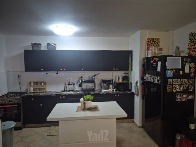 עין גדי 4