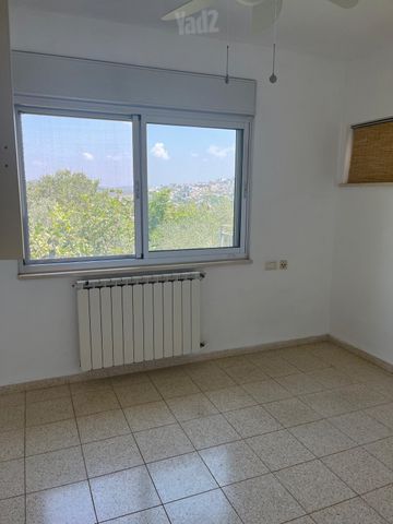 זוויתן 20