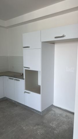 השבטים 4