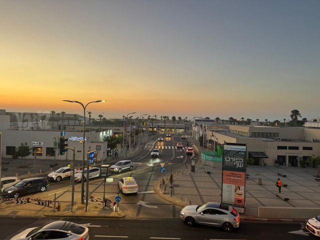דיזנגוף 344