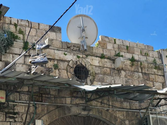 קיבוץ גלויות 