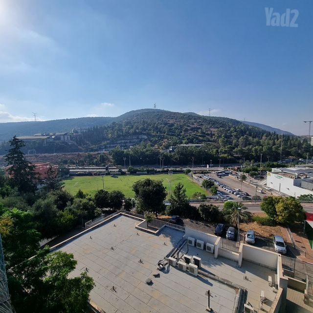 השקד 4