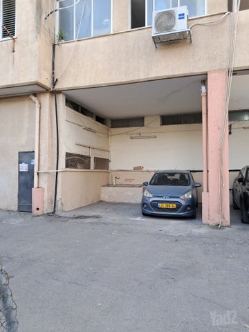 שרה אהרונסון 