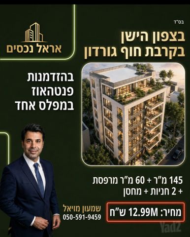דב הוז 