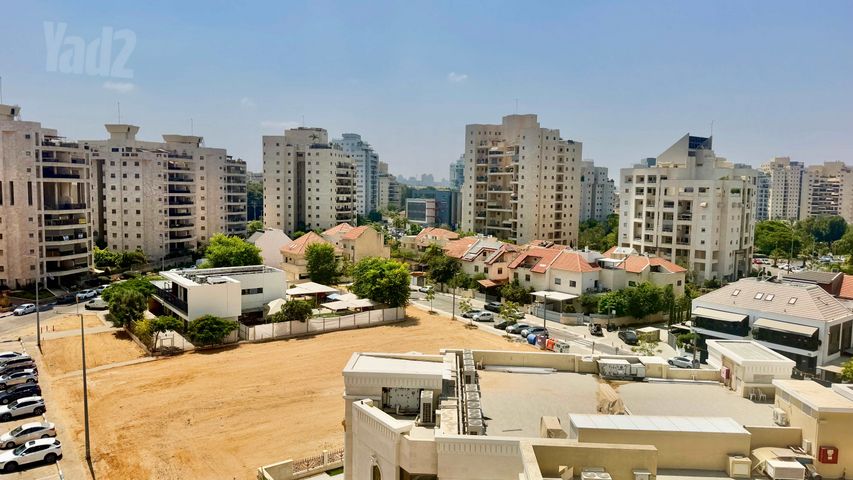 החרצית 