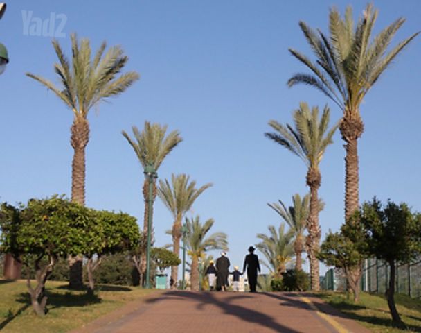 משה סנה 