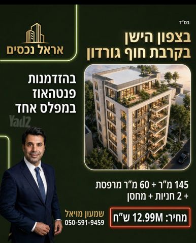 דב הוז 