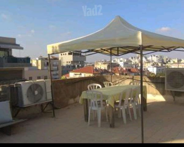פיינברג 3