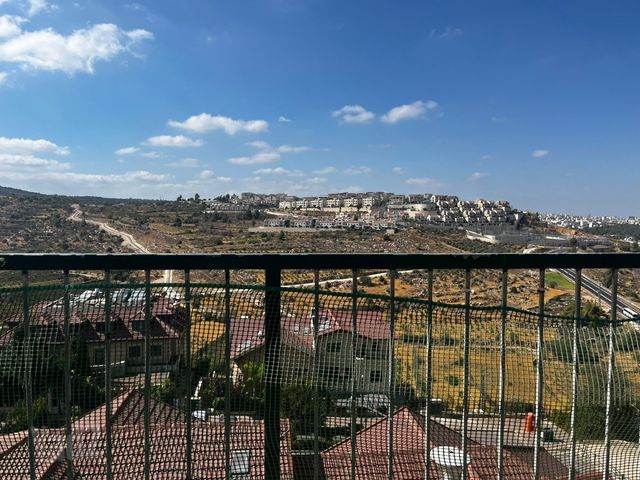 זית שמן 27