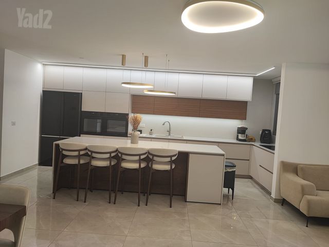 הברוש 4