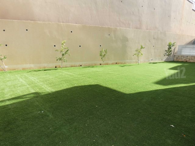 הרב פנחס לוין 6