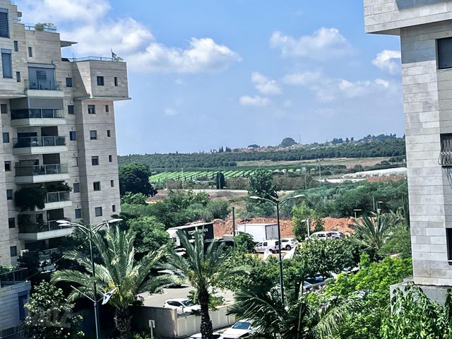 שושנת העמקים 41