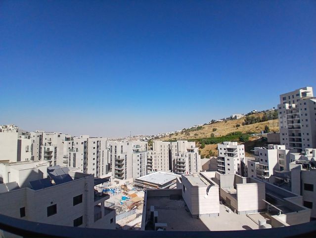 פרופסור יעקב נאמן 1