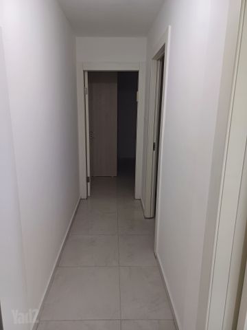 ספיר 12
