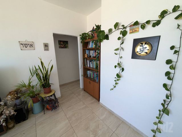 חנה סנש 43