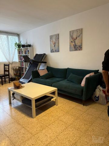 אמנון ותמר 17